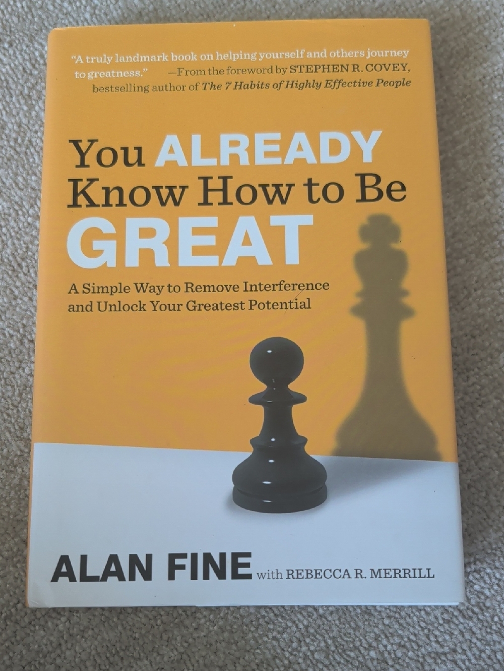 You Already Know How to Be Great - Alan Fine